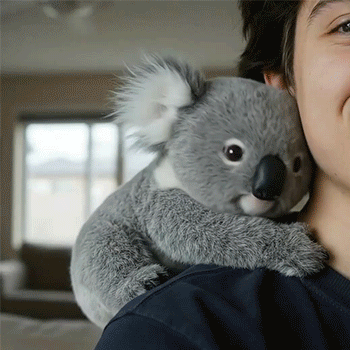Healende Papa Koala-dukke | Giv dig selv et blidt kram🌿.